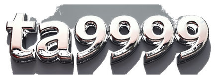 ta9999 logo